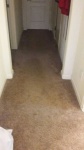 Carpet Cleaning (Before)