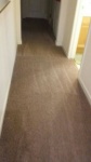 Carpet Cleaning (After)